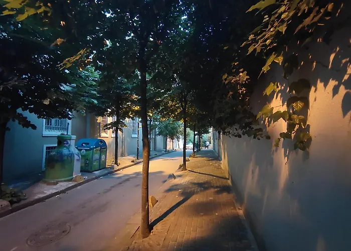 2Br 2Bath With Balcony Near Nisantasi And Taksim #5